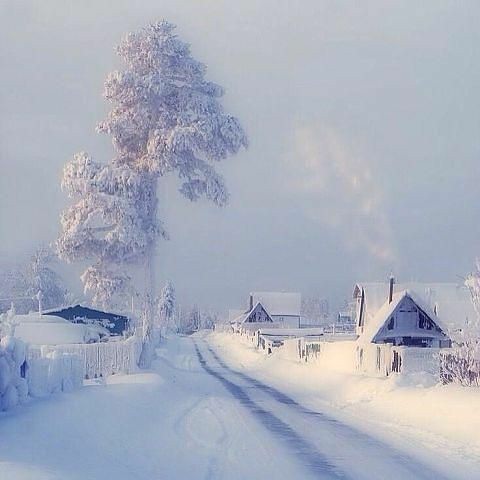 Bianca15048017's tweet photo. Happy weekend my beautiful friends 🌺 https://t.co/N6JJogp3yT
