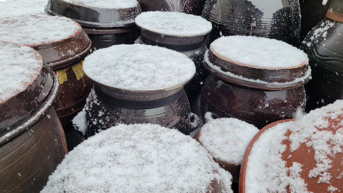 눈이 제법 내린다. 다소 거친바람을 타고 내린 눈이 그리 싫지 않다.

내맘과 같은 지인이 이찌곱푸 하자고 전화가 왔다. 눈만 아니면 나가고픈 맘이 없는데 눈이 나를 내몬다.