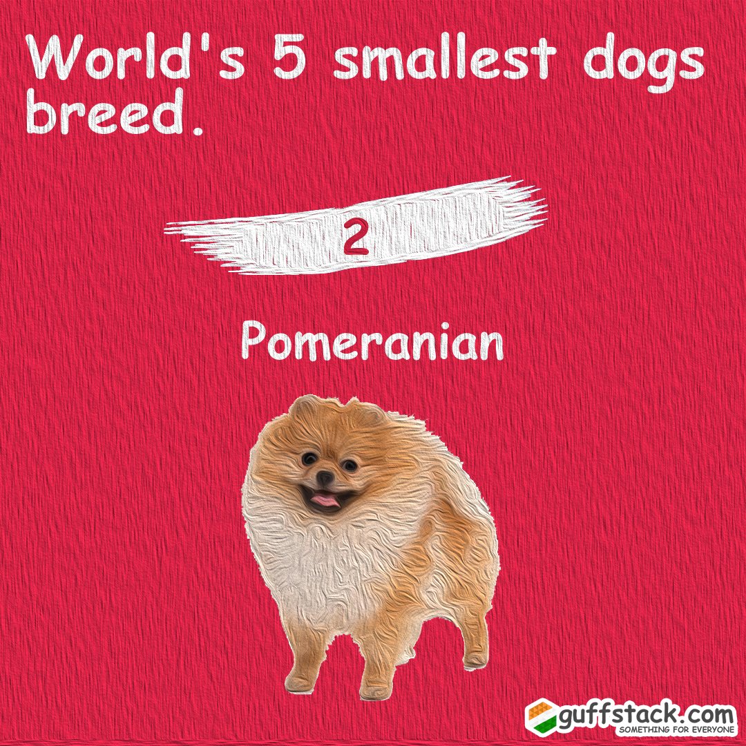 LivingOnFreedom's tweet photo. World's 5 smallest dogs breed.
1. Chihuahua ( 0.9-2.7 kg )
2. Pomeranian ( 1.9-3.5 kg )
3. Yorkshire Terrier ( up to 3.2 kg )
4. Toy Poodle ( 6-7 kg )
5. Papillon ( 3.6-4.5 kg )
Follow @guffstack for more content on gk (General Knowledge).
#follow #guffstack #guffstackgk #dogs https://t.co/NPJ7nCbmSL