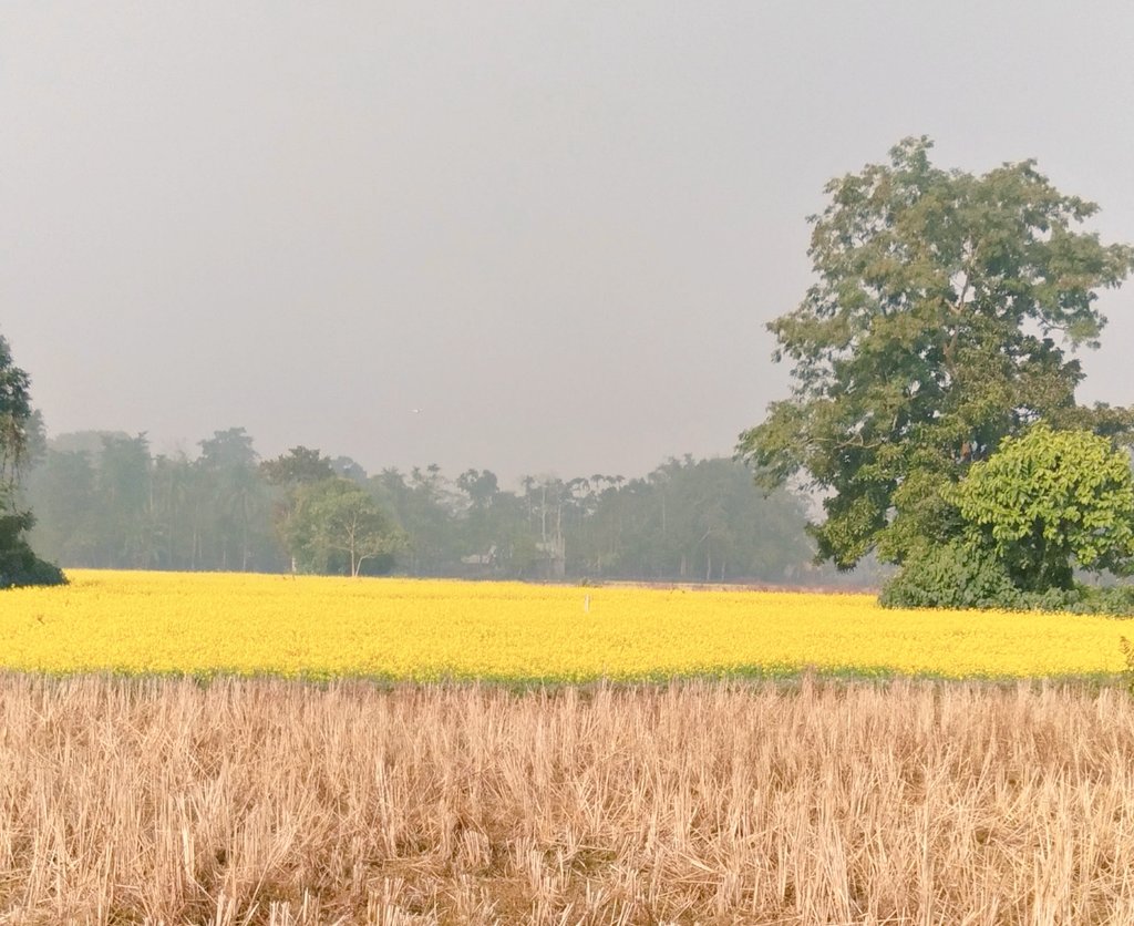 Homen Borgohain Quotes(হোমেন বৰগোহাঞি) tweet media