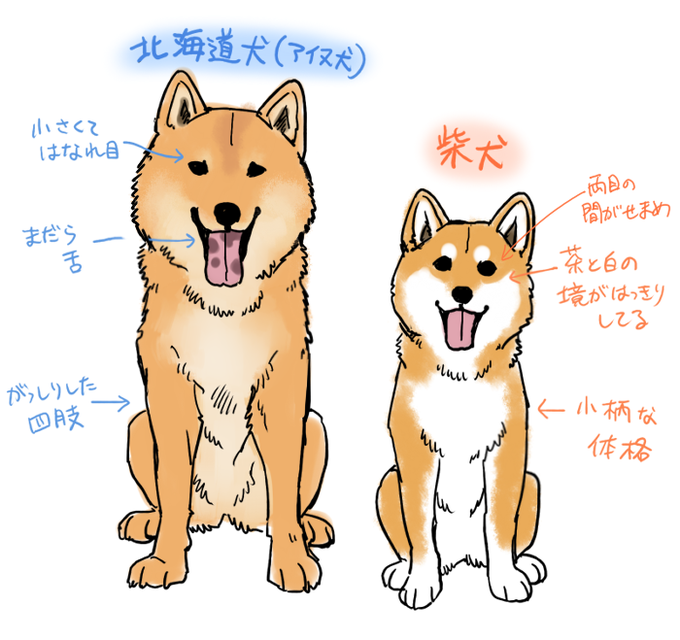 間違えられるのtwitterイラスト検索結果