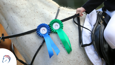 COLLECT THE ROSETTES💥 💚 20 rosettes = FREE bag of Fibre-Beet 💙 20 rosettes = FREE bag of Speedi-Beet 💜 10 rosettes = FREE bag of Cooked Linseed Read more about the scheme below! 👇 britishhorsefeeds.com/loyalty_scheme… #HorseFeed #HorseRiding
