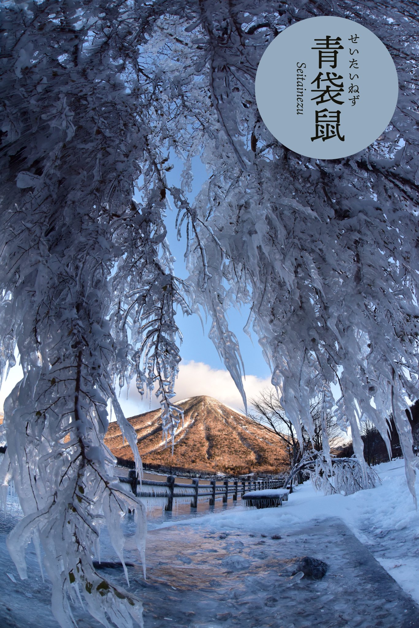 2101様感謝‼️老舗様愛蔵品 大陸の雪解の色‼️CELADON青磁蓮文&魚耳付