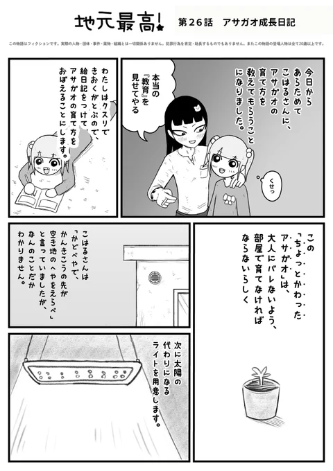 アサガオ観察日記 