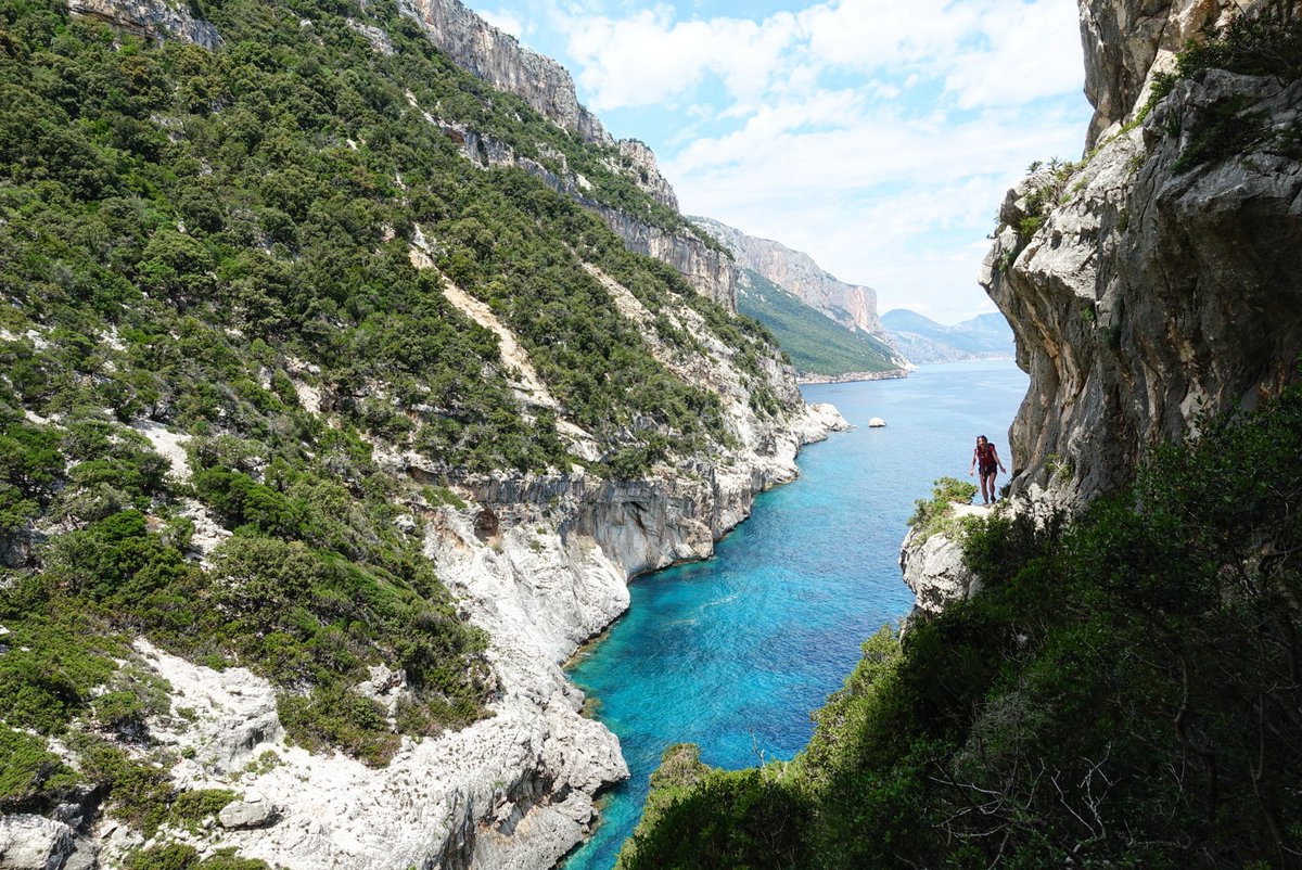 In #equilibrio tra #roccia e #BLU...

Vi siete già iscritti al prossimo #selvaggioblu di #primavera?
Cosa aspettate?
Cliccate sul link qua sotto per tutte le #informazioni e le #date per il #trekking più bello d'#Italia
👇
carlocosi.com/attivita-propo…

#sconti per #gruppi già formati