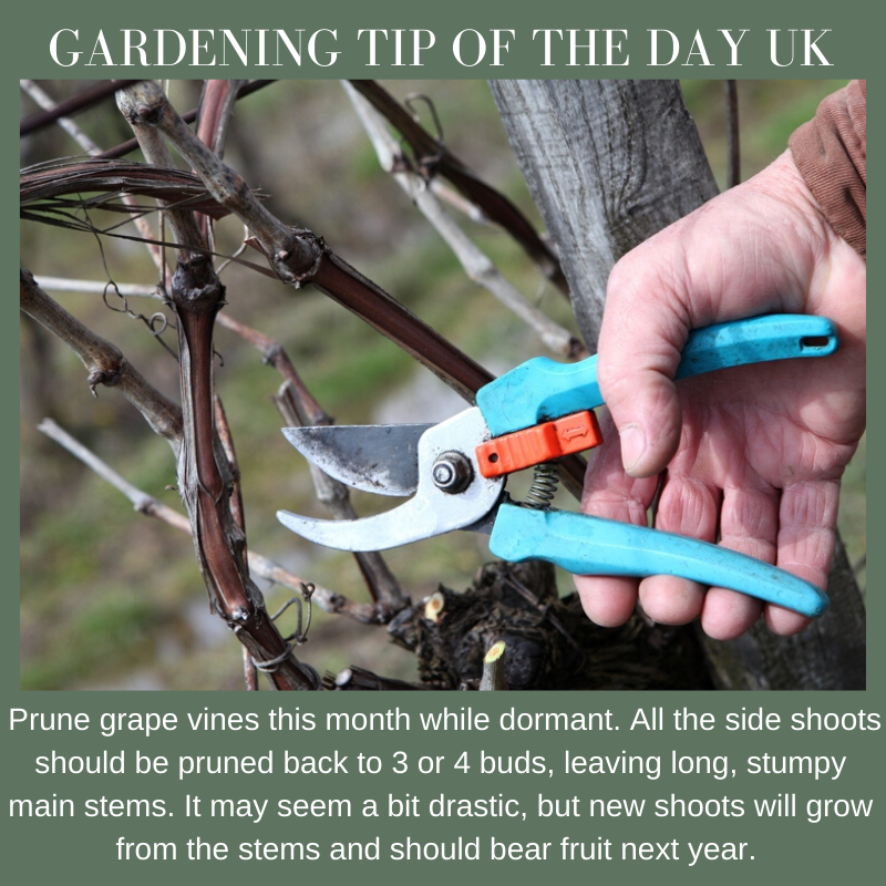 Oxford Garden Design (@gardendesigns) on Twitter photo 