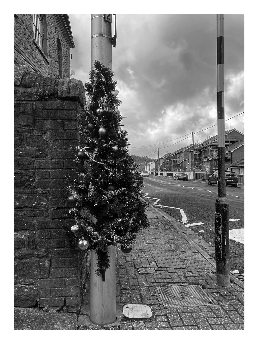 #NewYork maybe have their famous #ChristmasTree but in the #Rhondda we have these for decoration 🤣

#wales #blackandwhitephotography #documentaryphotography #documentingsouthwales #Christmas