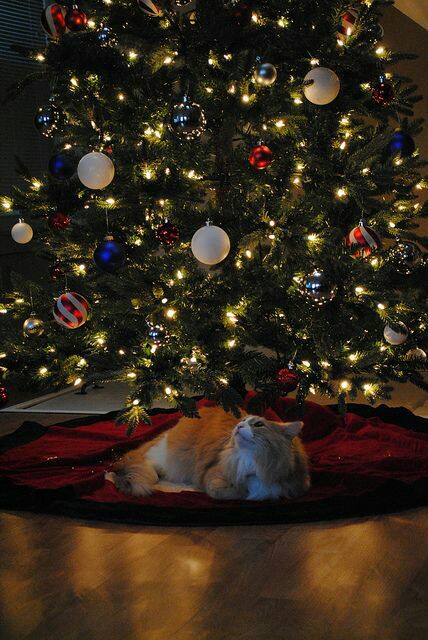 Buenosssss díassss!!
Sabadito relax para uds!!
Que se lo pasen genial, disfruten mucho y sonrían que siempre se puede... 
#Sonrieok 😊 #Navidad 🎄