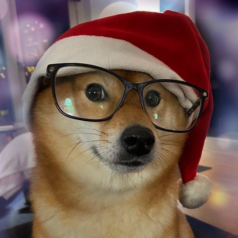 KoinMelegi's tweet photo. Bebeğimiz bir güzellik yapsa da yeni yıl havasına girsek😇
#SHIB #shiba #ShibaArmy #ShibainuCoin #SHIBARMY https://t.co/3mHKY6hGtg