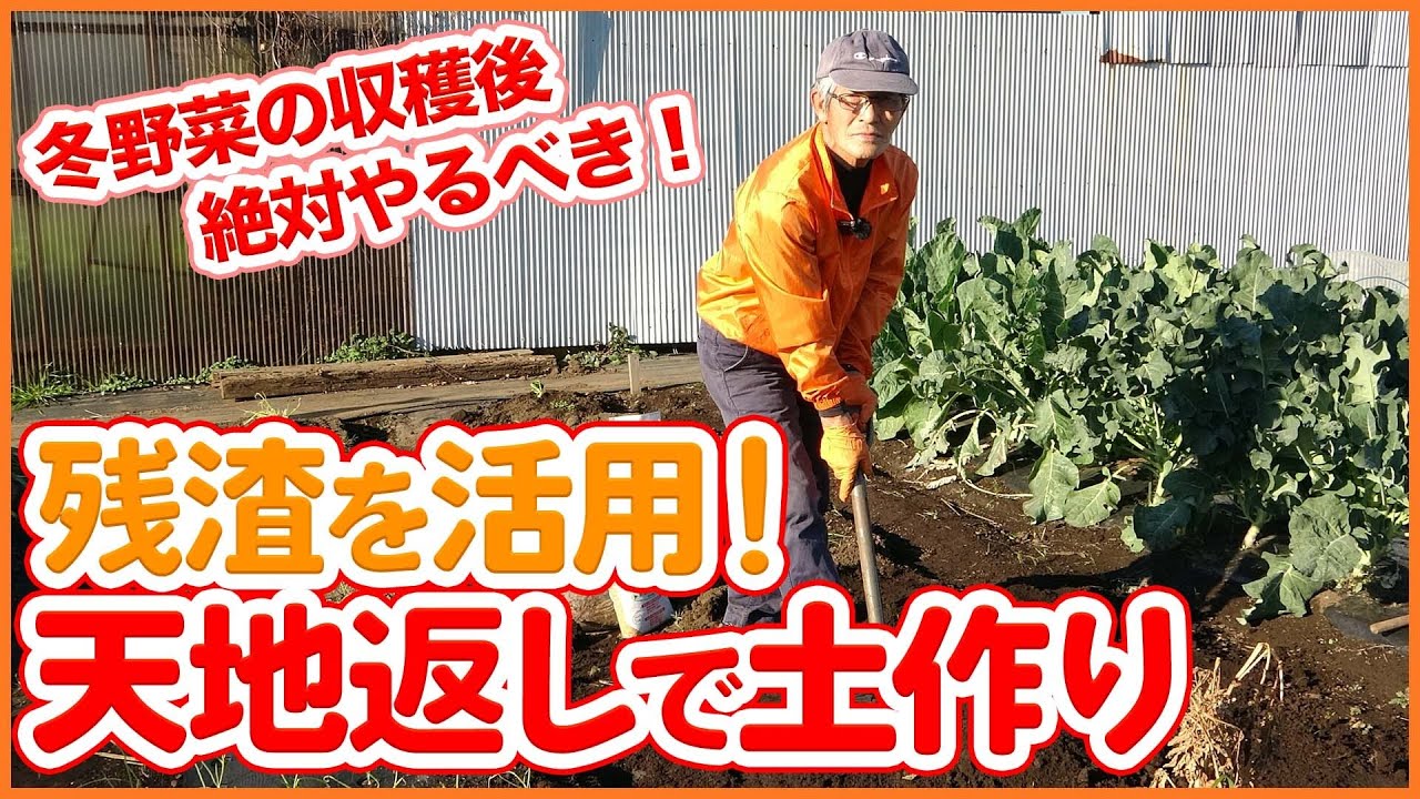シェア畑 サポート付き貸し農園 農園ライフ Youtube 真冬になったら実施したい 残渣を活用する畑の状態を改善する天地返しの方法 誰でもできる家庭菜園の土壌改良のコツを解説 T Co Ihcj4b2jqp 家庭菜園 農園 土作り 土壌改善 土壌