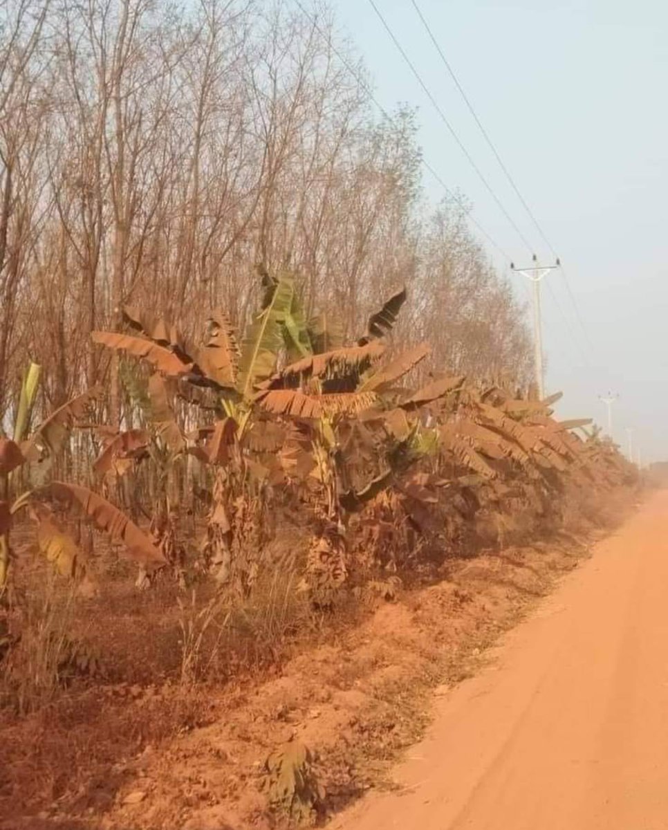 เห็นเกาหลีลงรูปอวดหิมะตก บ้านหนูก็มีค่ะออนนี่