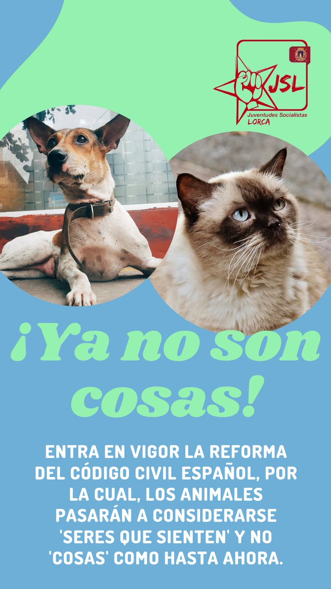 JSLorca's tweet image. ¡Por fin cambia el Código Civil y deja de considerar a nuestras mascotas simples objetos! 🐕🐈🐇🐎
#JuventudesSocialistasDeLorca ✊🌹