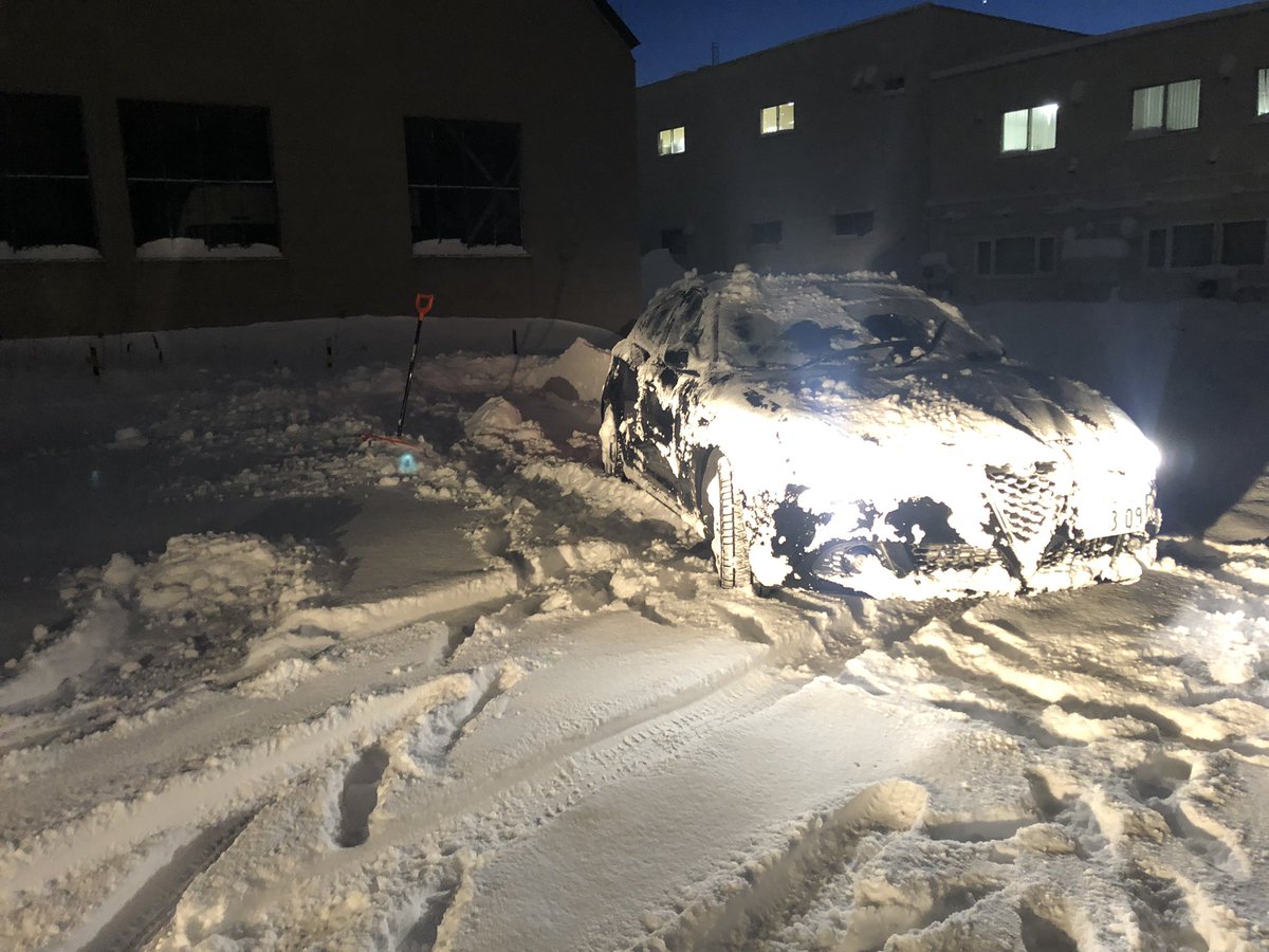 頑張りました。