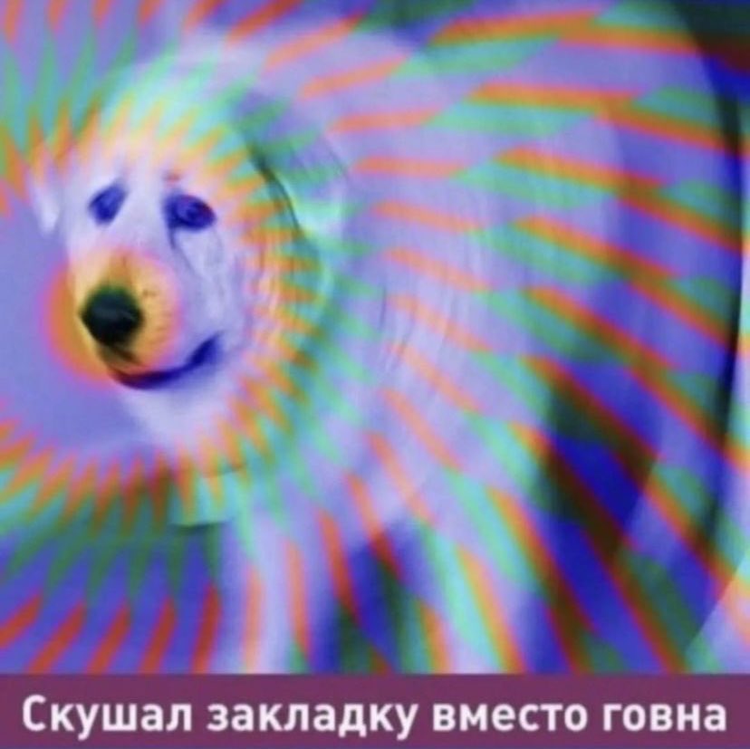 АХХАХАХАХАХ