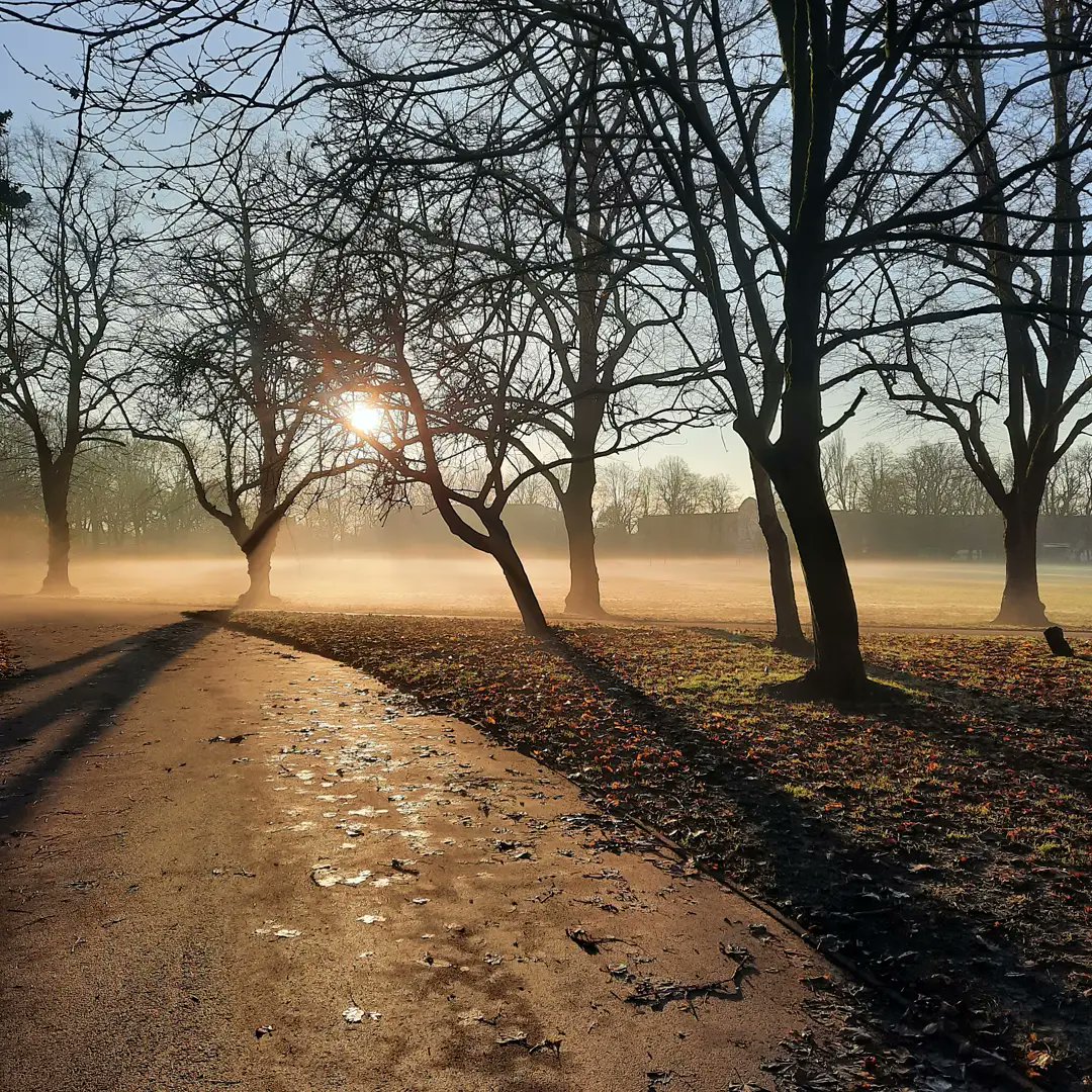 MickInterrupted's tweet image. Wintery walk