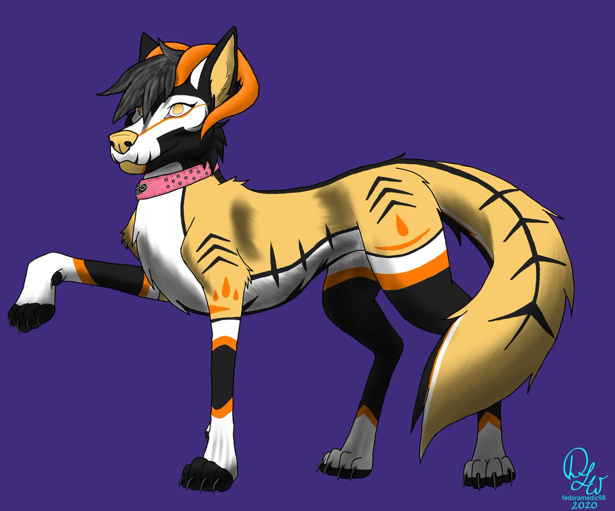 SentinelStarlet tweet picture