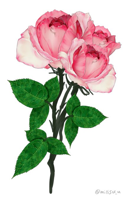 ใใฃใกใซใไธใใจใใใช
ๆ่ฟๆใใๆค็ฉ