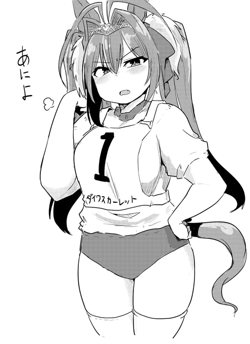 ためしがき体操服ダスカ 