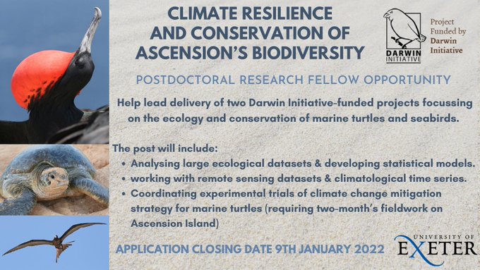 Postdoctoral Research Fellow. Please RT! Great opportunity to join the @ExeterMarine team at the @UniExeCEC studying sea turtles and seabirds at Ascension Island Short deadline: Closing date 9th Jan More info and how to apply below: jobs.exeter.ac.uk/hrpr_webrecrui…