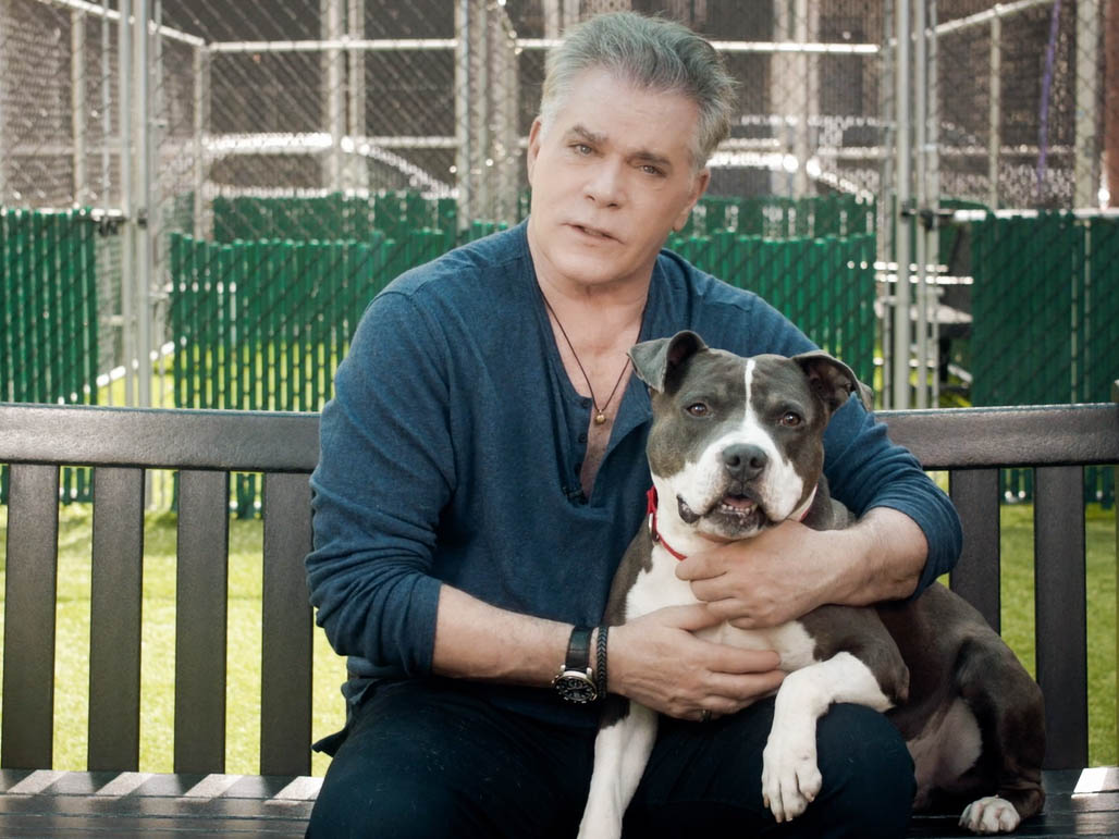 Happy 67th birthday Ray Liotta 