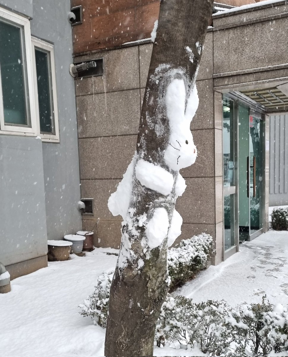 우리 언니가 만든 눈토끼 볼사람
엉덩이랑 꼬리도 있음 ㅎ