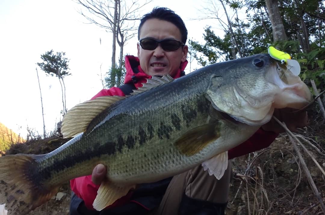 wizardangler's tweet photo. 晩秋クランキングの強烈な一撃キター！！(ﾟ∀ﾟ 三 ﾟ∀ﾟ)
オカッパリでの自己記録となる59,5cmの痺れる一本😂
#バスフィッシング
#シマノ
#レジットデザイン
#サンライン
#タレックス
#オールドスクールベイツ
#フラットサイド
#晩秋クランキング
#リザーバー
#オカッパリ
#震えるよ https://t.co/xEGqp3SSWB