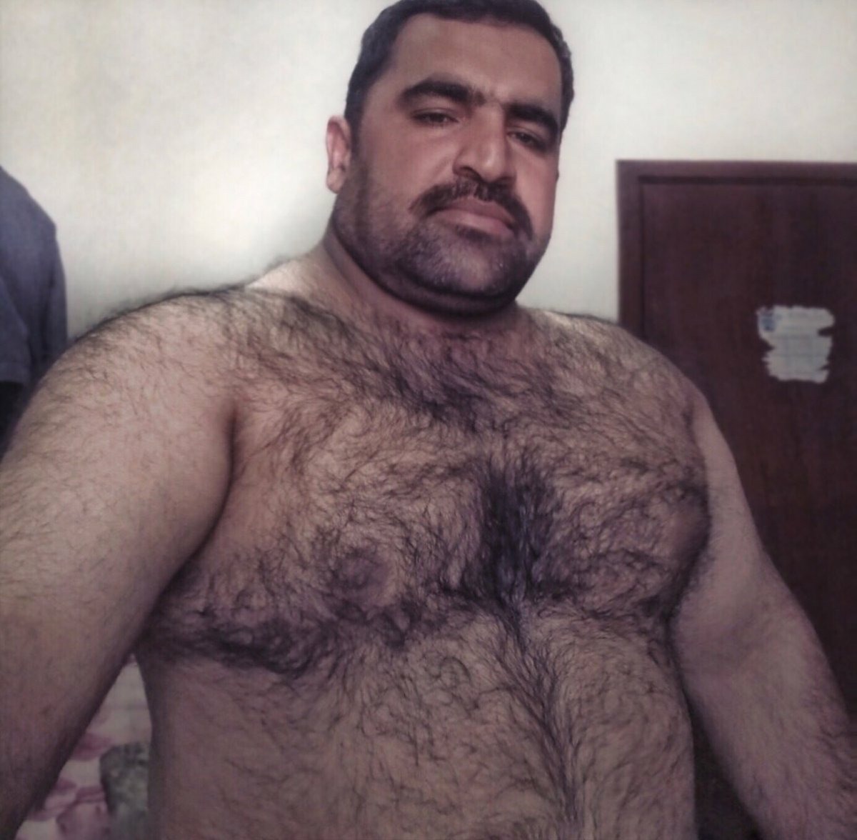 Рыжий кавказец