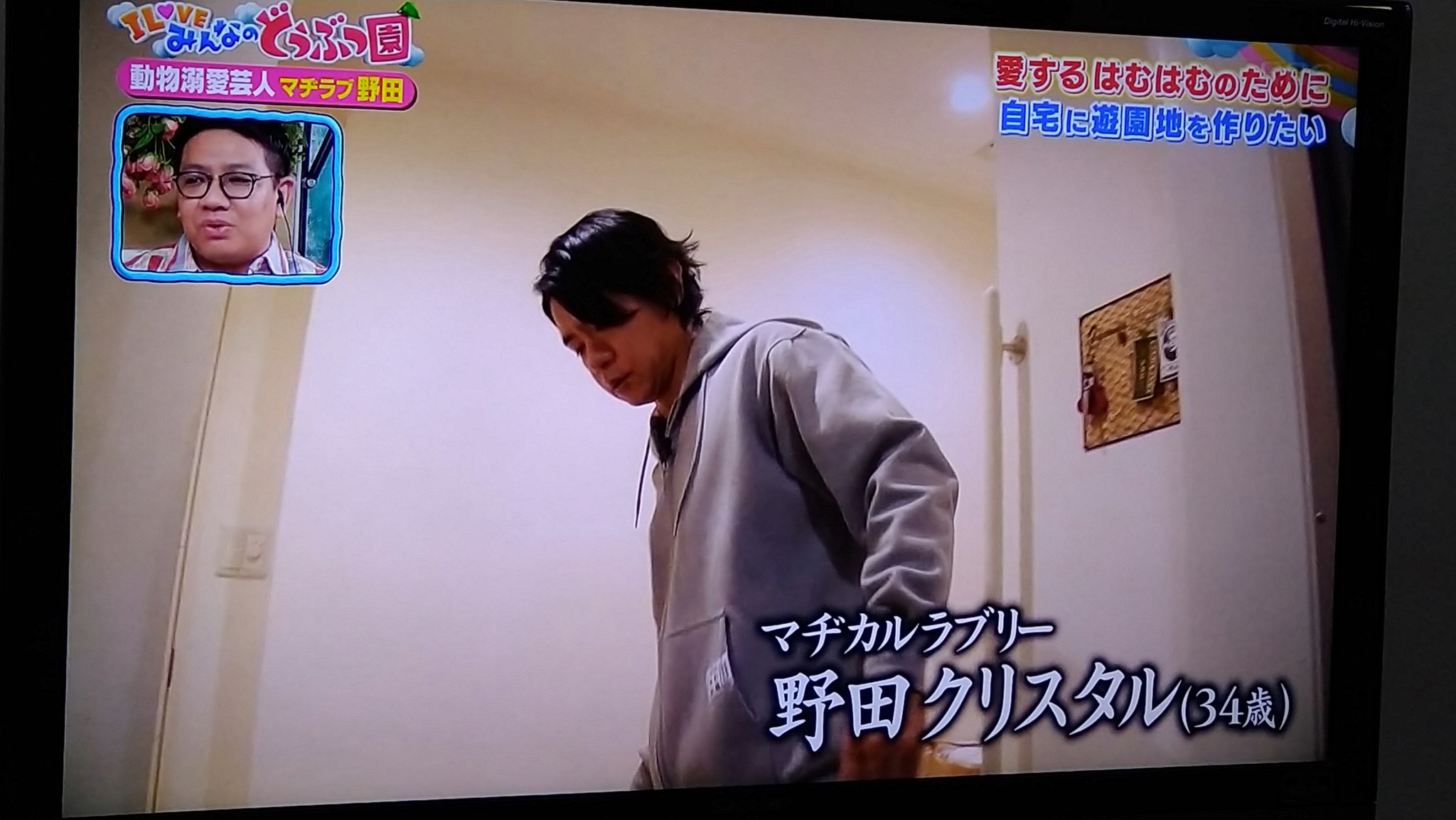 野田ゲー　スウェット　マヂカルラブリー　野田クリスタル　パーカー　フーディー 駿河屋 - 【買取】野田クリスタル(マヂカルラブリー) 組体操合戦