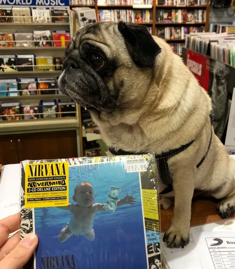 David's Music tweet media