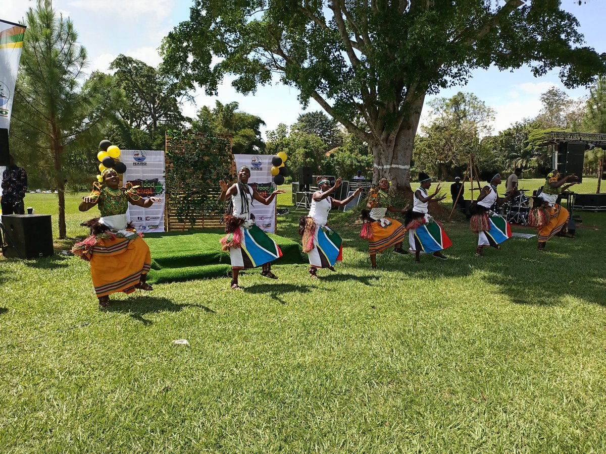NARO_NaCRRI's tweet photo. #HappeningNow: The Utafiti Food Festival 2021 at the Mary Louise Simkins Memorial Golf Course - Namulonge. Come let's have fun as we celebrate Uganda's agricultural research.

#UtafitiFoodFestival https://t.co/0wat6Wtl5w