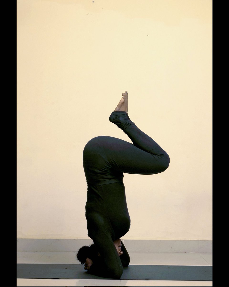 'Yoga is the study of balance, and balance is the aim of all living creatures; It is our home.
Rolf Gates'
#yoga #Balance #santhulaamy #remyasarvadadas