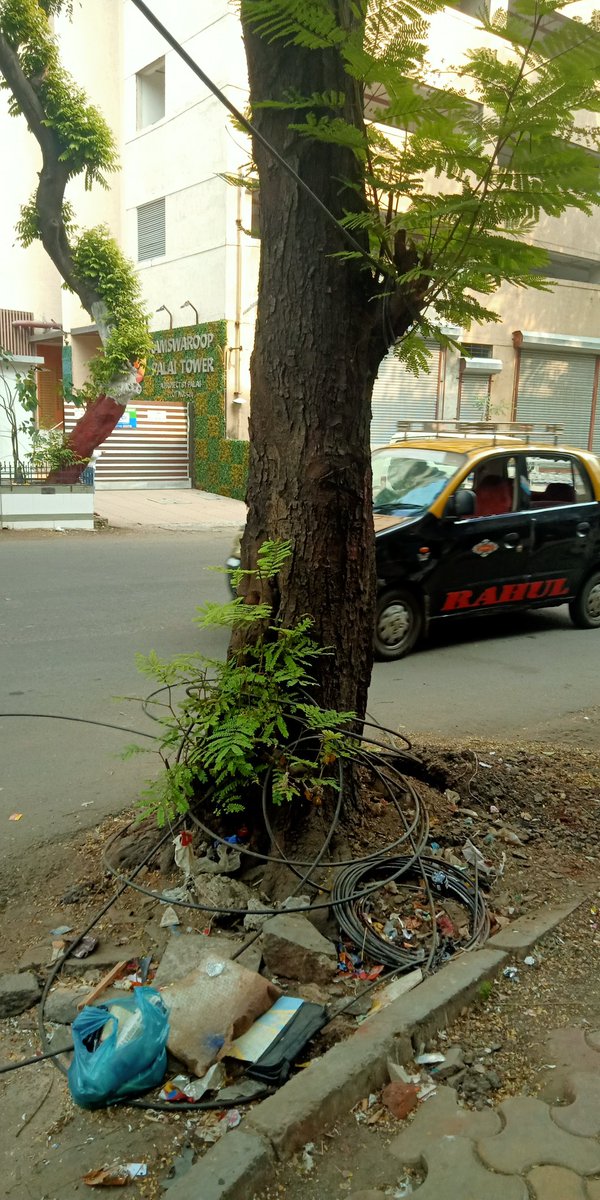 chakachakdadar's tweet image. Loose live wires on ground causing inconvenience to pedestrians at Bhavani Shankar Road, Near Central Bank.
@mybmcWardGN Please take action and remove them from foothpath.
@richapintoi @Ms_Aflatoon @TOIMumbai @QuintMyReport
