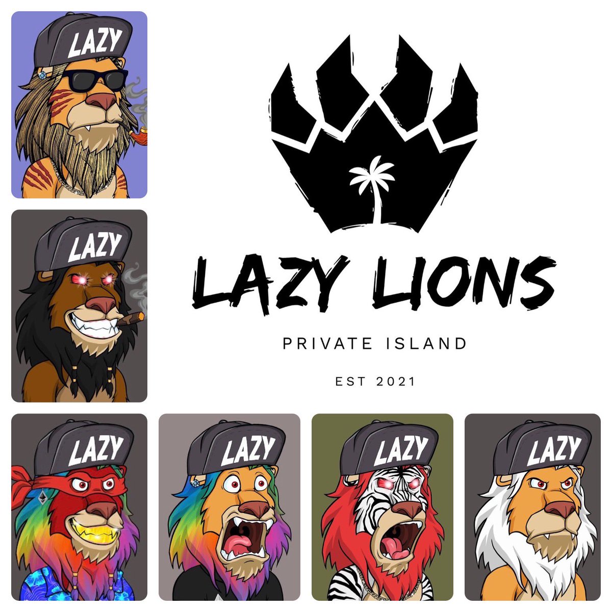 DDishOZ's tweet photo. @Stephen95389219 @LazyLionsNFT @Coinbase_NFT We to Stephen esp #lazyhat #lhpd sees a supply squeeze with more diamond hands coming in n less paper hands @LazyLionsNFT we see our floor to move to 2.5 soon https://t.co/AMPy8kgV7Z