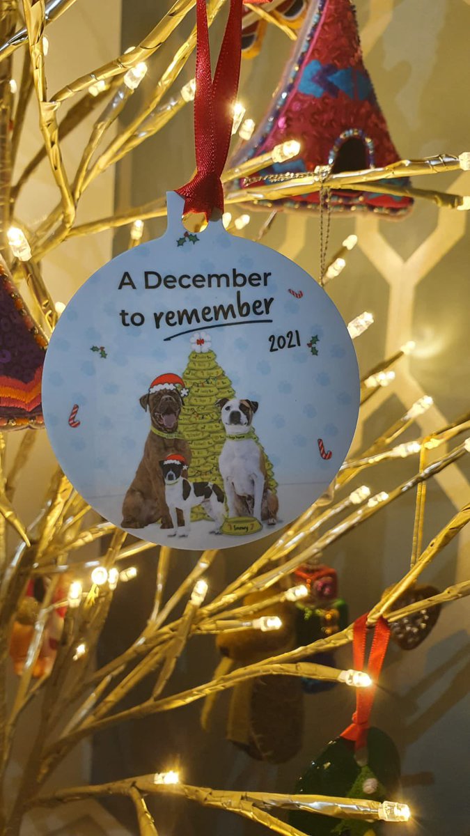 Birmingham Dogs Home tweet media