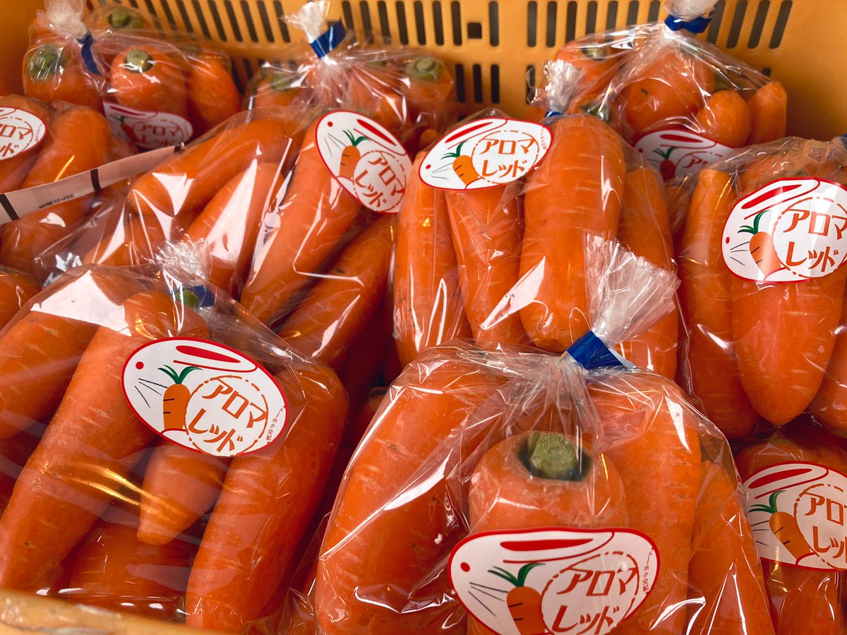 ReciprocalColor's tweet photo. 久々に作付けのにんじん「アロマレッド」🥕食べきり小さめサイズ。 https://t.co/GH915FJKas