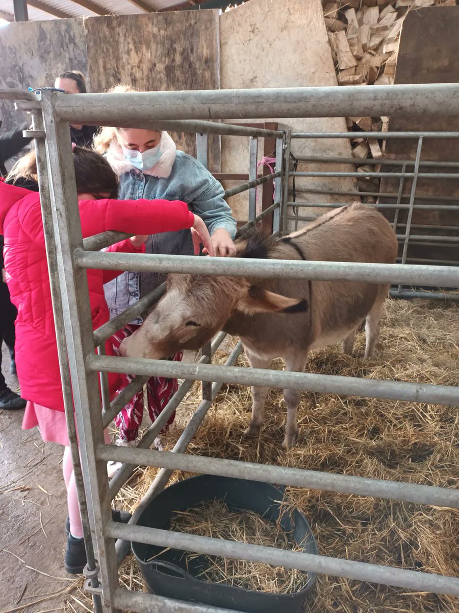 Rose_Road's tweet image. Trips out to see the reindeer are the best! #festivefun #reindeer #outreachsupport #DisabilityAware #LifeWithNoBarriers