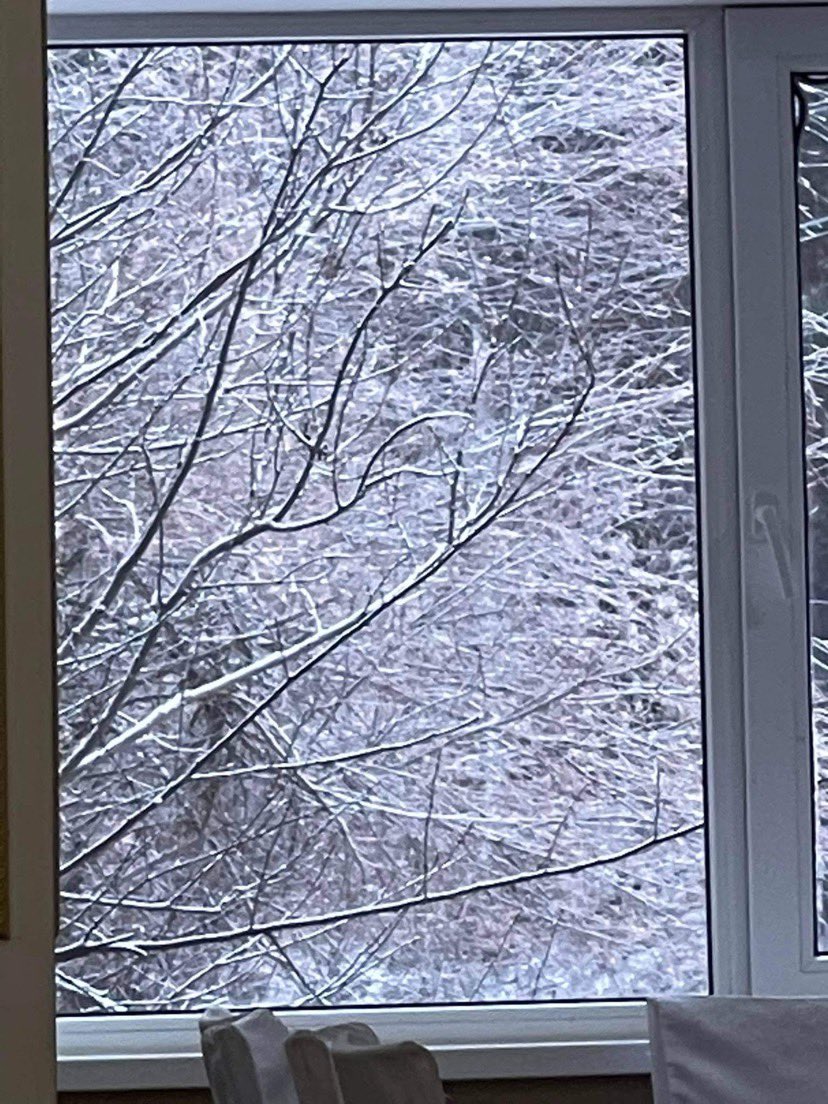 Оройны мэнд !!!❄️🌙🌒
Монголын амар амгалан шөнө айсуй ,та нарын минь ч бодол санаа ч гэсэн амар амгалан байх болтугай🙏🥰😍❄️🌒