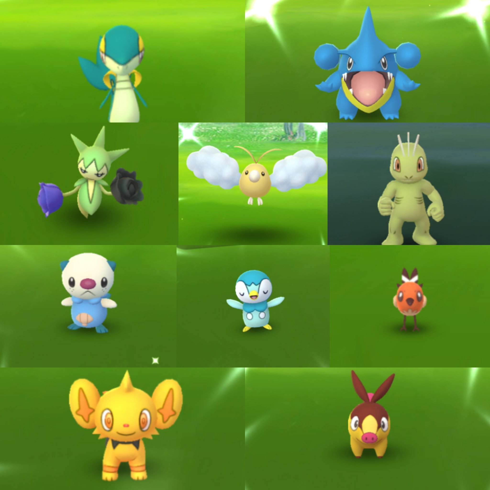 Amazinghisa 今日のポケモンgo活動1 コミュニティ1日目お疲れ様でした 色違いは10種31匹出ました タスクからもチルット ポッチャマと光ってくれました 参加できなかったツタージャの飴狙いで相棒のユキノオーをメガシンカ ポケモンgo