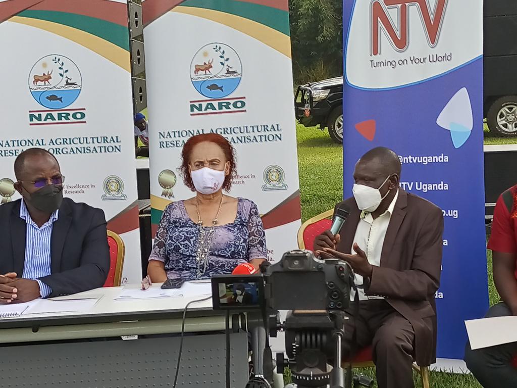NARO_NaCRRI's tweet photo. #HappeningNow: Press briefing at the #UtafitiFoodFestival by @FredBwino @KigoziMaggie @sdkassim2 @GodfreyAsea @JicaUganda https://t.co/RfM5L628eX