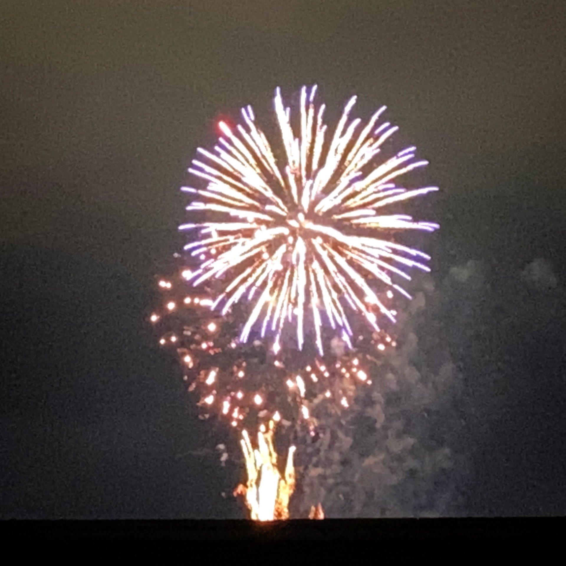 تويتر たまま على تويتر 突然の花火の音 慌てて屋上に上がったら 見れた 真冬のサプライズ花火 近くの夢前川の 川祭りの花火大会で上がる場所 川祭りが2年連続で中止になったから ｶﾅ 得した気分 姫路 花火 T Co 5t7ihkxwoi
