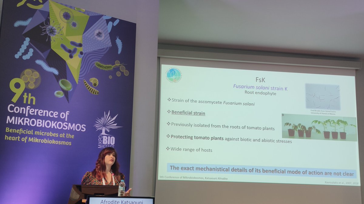 Afrodite Katsaouni presenting  RNAi mechanisms in a beneficial fungi on the final day of the <a href="/mikrobiokosmos/">MikroBioKosmos _ All microbes, one planet</a> conference. #mbk2021 <a href="/biobio_uth/">BioBio_UTH</a>