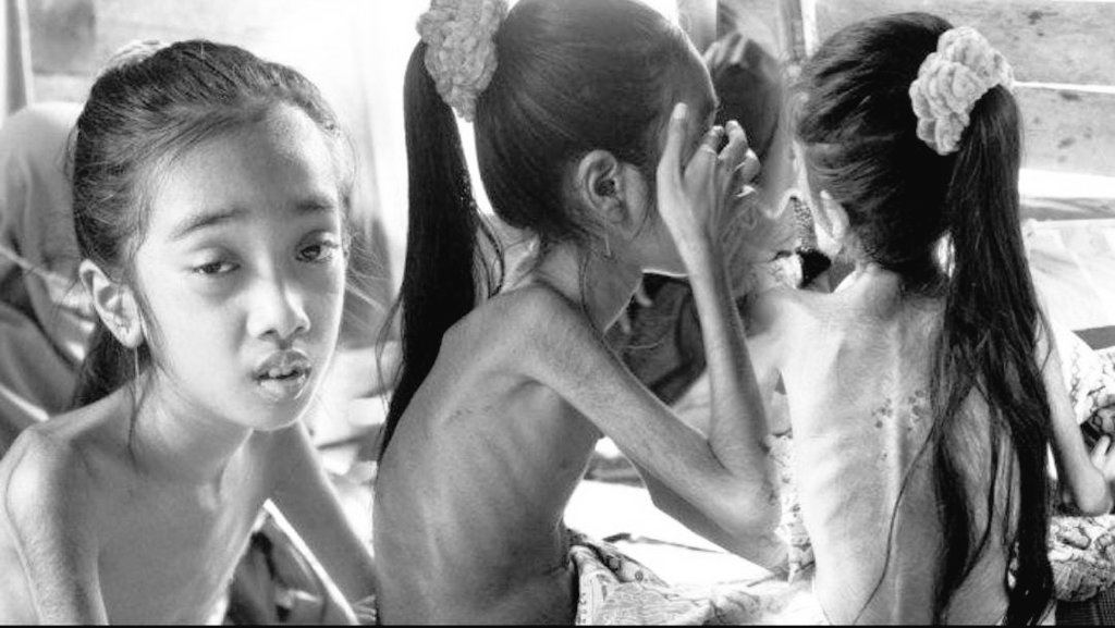 Aceh 🇮🇩🇹🇷🇵🇸 tweet media