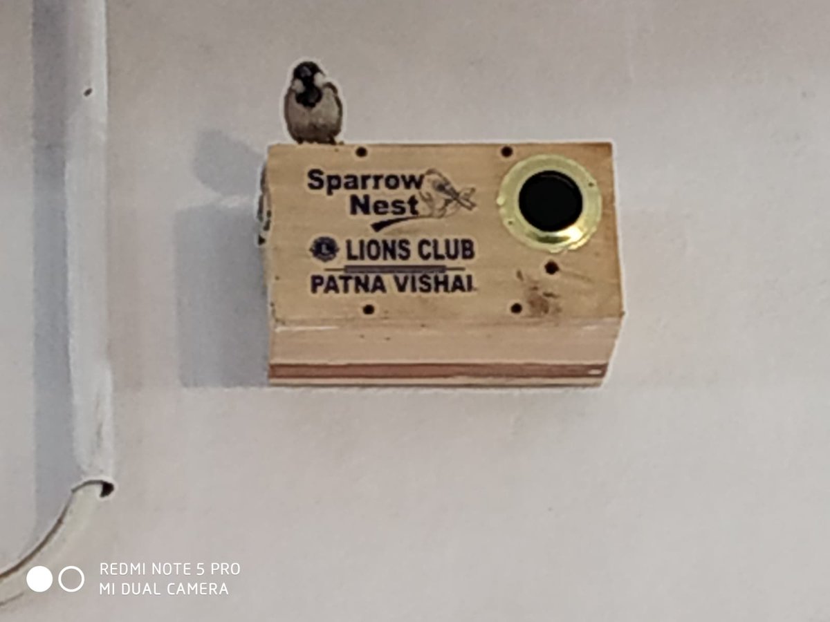 LionsPatna's tweet photo. The day it was installed, was just an empty box. 
But now, it is a home to the real birds for breeding.
SAVE SPARROW🐥.....EK PRAYASS by Lions Club Patna Vishal https://t.co/RbDCfhKxYN