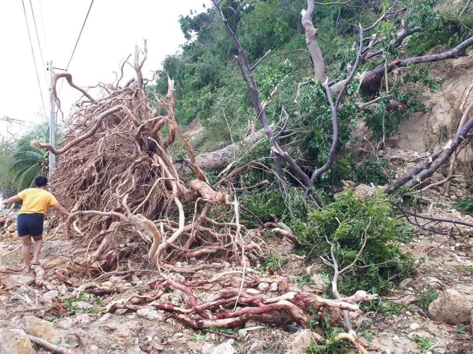 SugboPH's tweet photo. 📍 Ginatilan to Malabuyoc (Not passable going to Ginatilan, Samboan and vice versa)

📸 Tej Chiong
#OdettePH #OdetteUpdate #SugboPH https://t.co/RdIqean9SS