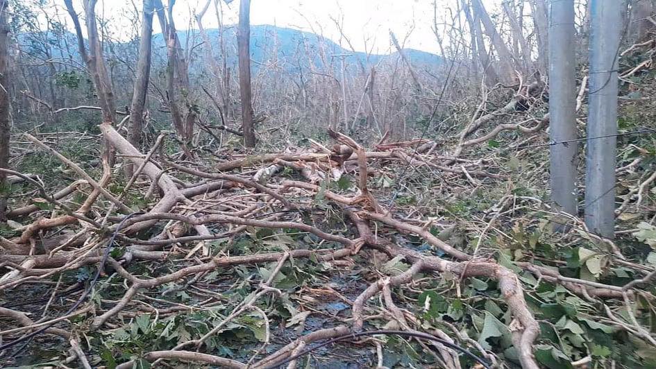 SugboPH's tweet photo. 📍Barangay Toong (Bukid side of Cebu City) 

📸 Mira Luna Panelag 
#OdettePH #OdetteUpdate #SugboPH https://t.co/GUBtbMdICu