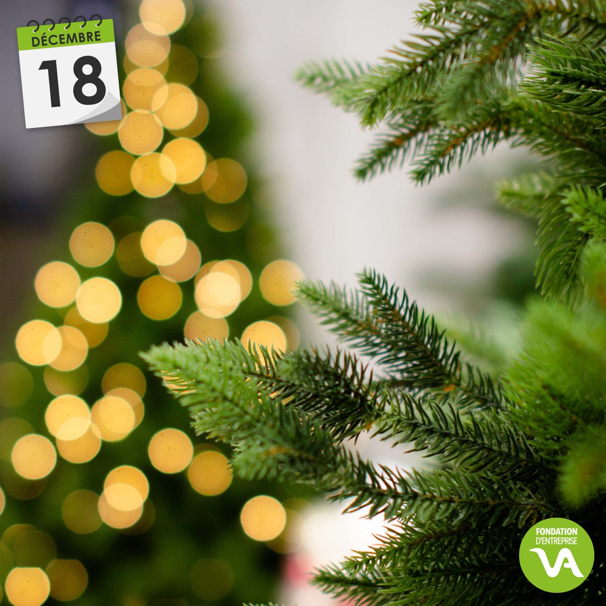 Comment concilier #Noël et #environnement ?

On ne veut pas gâcher vos fêtes mais on préfère vous le dire maintenant ! Chaque année, des milliers de #sapins sont abandonnés sur les trottoirs après les fêtes. 

Toutes les solutions > instagram.com/p/CXnyq70KnEG/