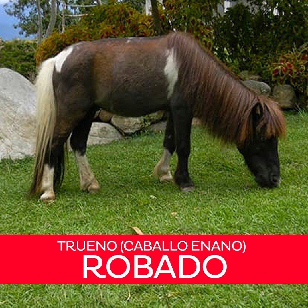 laurarriecheg's tweet photo. #AnimalesDeBiocontacto  ¡Tienen aparecer! https://t.co/yRejyli7Jm