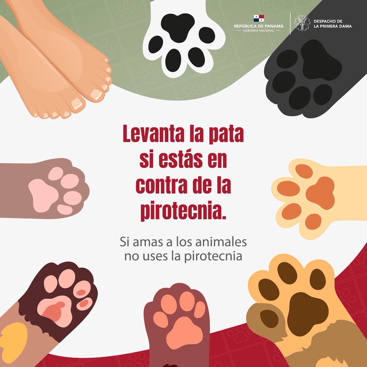 MiBoquete's tweet photo. #NoPirotecnia
Por Favor Vecino Boqueteño en Alto, en Bajo, en Jaramillo, en Palmyra en Caldera, en Santa Lucia, en Volcancito, Los Naranjos, Alto Quiel. Piensalo bien. Aguanta tus bombitas. #PLISSSS🐱🐶🐈‍⬛🐩 #ProtegeMascotas https://t.co/wKUKFJ7Vy8