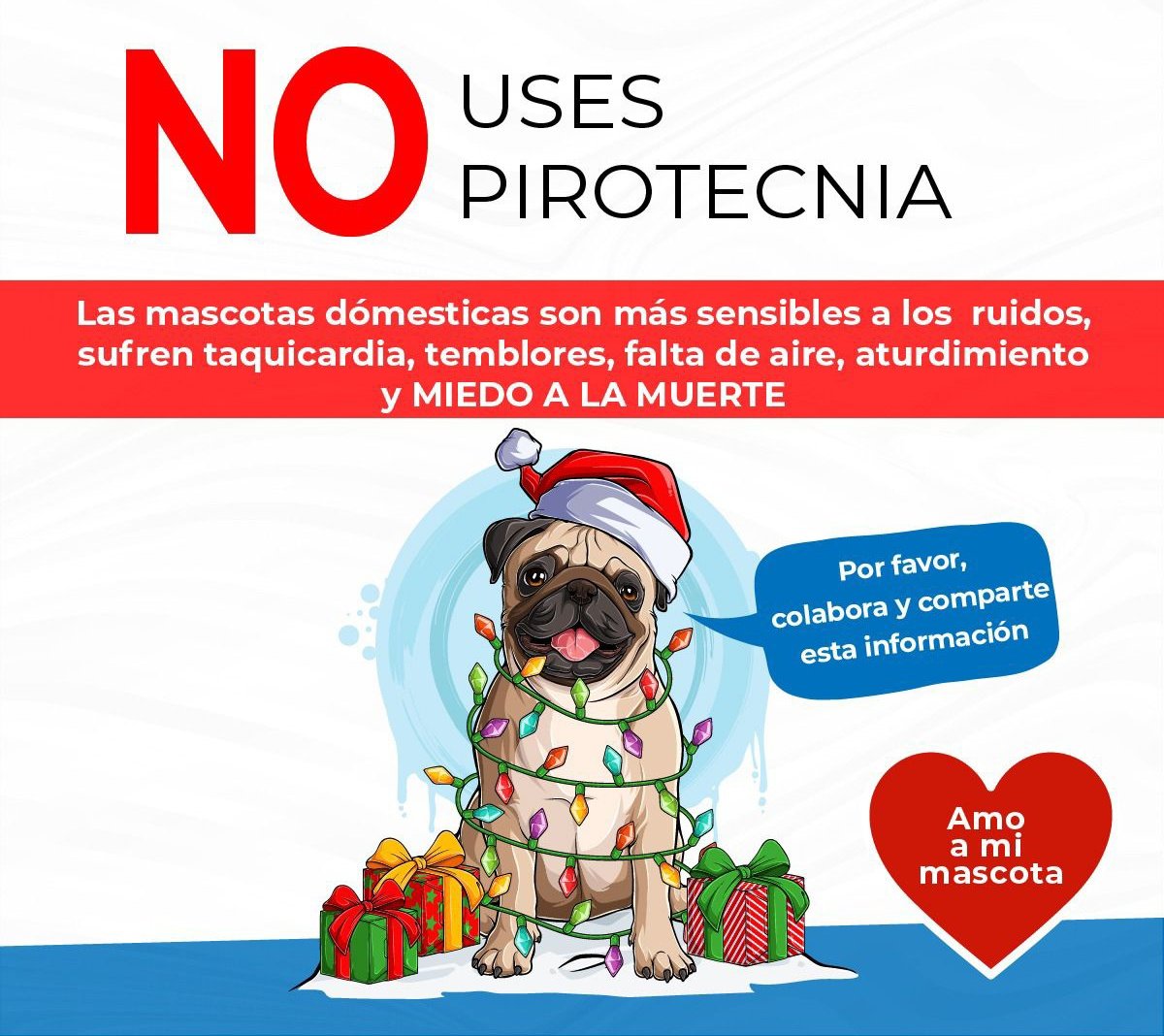 MiBoquete's tweet photo. #NoPirotecnia
Por Favor Vecino Boqueteño en Alto, en Bajo, en Jaramillo, en Palmyra en Caldera, en Santa Lucia, en Volcancito, Los Naranjos, Alto Quiel. Piensalo bien. Aguanta tus bombitas. #PLISSSS🐱🐶🐈‍⬛🐩 #ProtegeMascotas https://t.co/wKUKFJ7Vy8