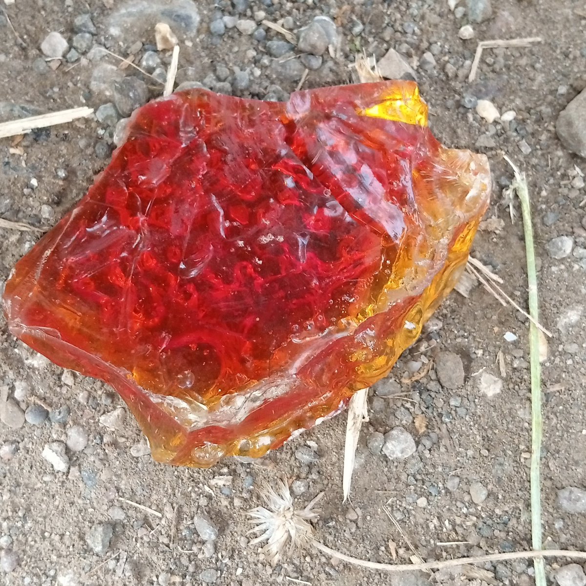 प्रदीप सावंत tweet media